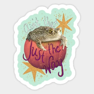 Turt Burglar Sticker